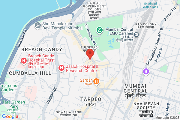 Chandni International Pvt Ltd