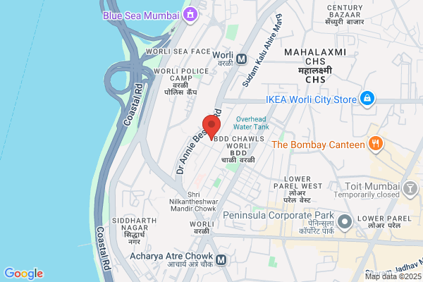 Domex Business Information
