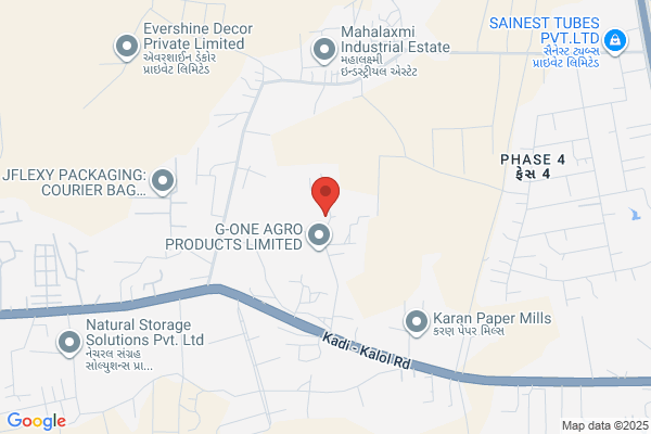 SANGHAVI PHARMACEUTICALS I LTD