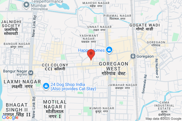 Jain Diwakar House Of Magnets