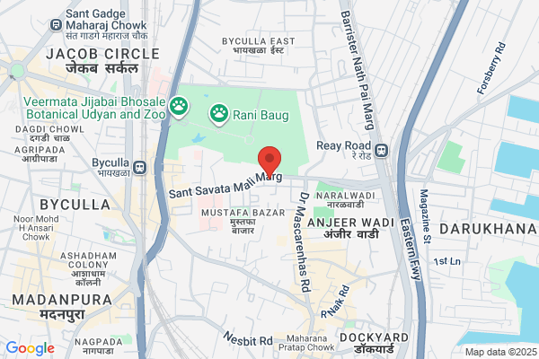 Avni Packers