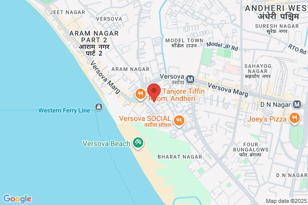 APT PLACEMENT AND CONSULTANCY SERVICES P LTD