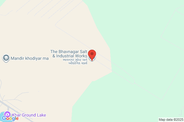 Bhavnagar Salt & Industrial Works P