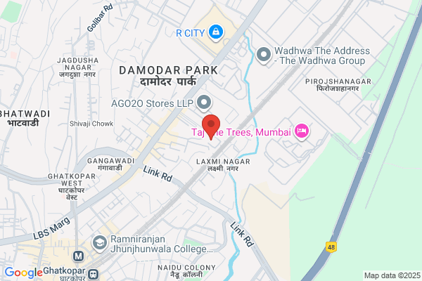 Advance Security Systems