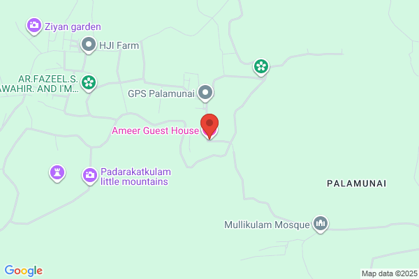 Ameer Guest House