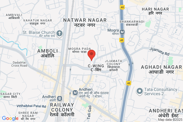 SHREEJI ENG & MARTG SERVICES