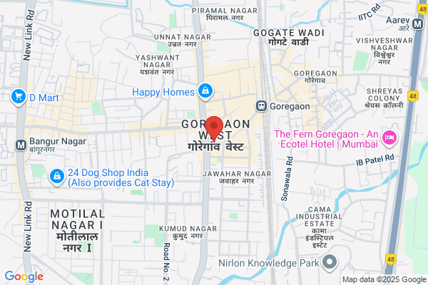 Vidya Tours & Travels