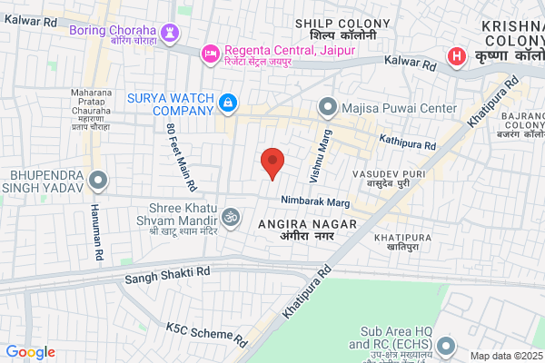 Shree Raj Travels & Tours Ltd