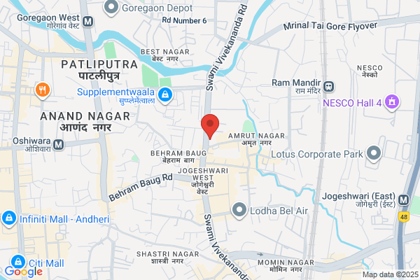 Himalaya Steel Industries