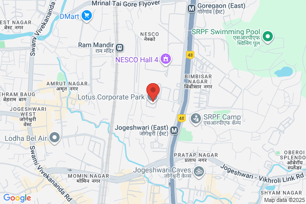 Pegasus Infocorp P Ltd