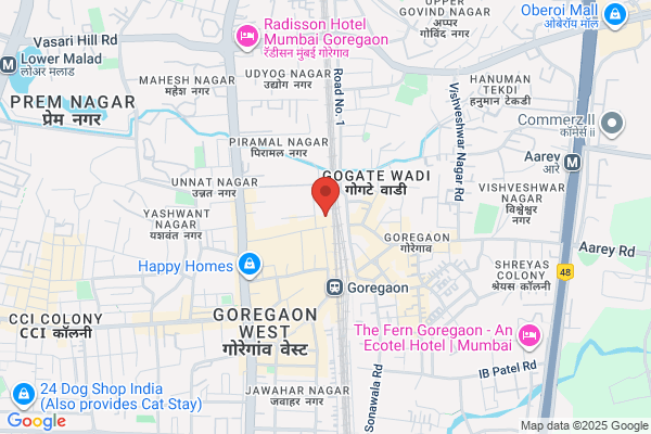 WEB Element Inc