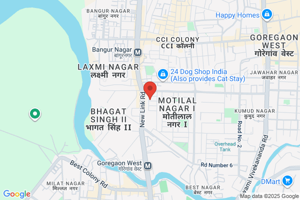 Mohini Sales Corporation