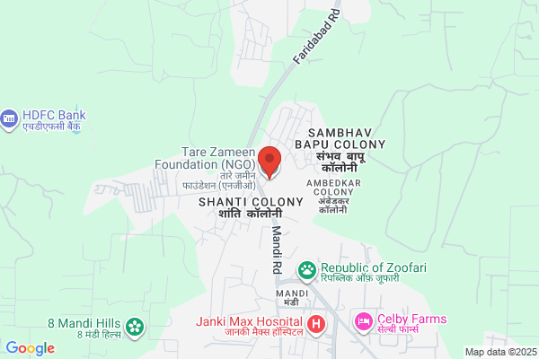 Tare Zameen Foundation (NGO)