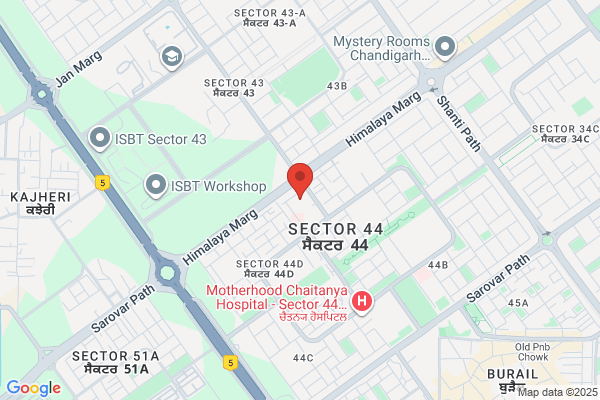 Spy Detective Chandigarh