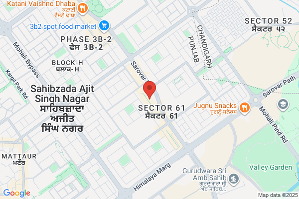 PPC Training in Mohali