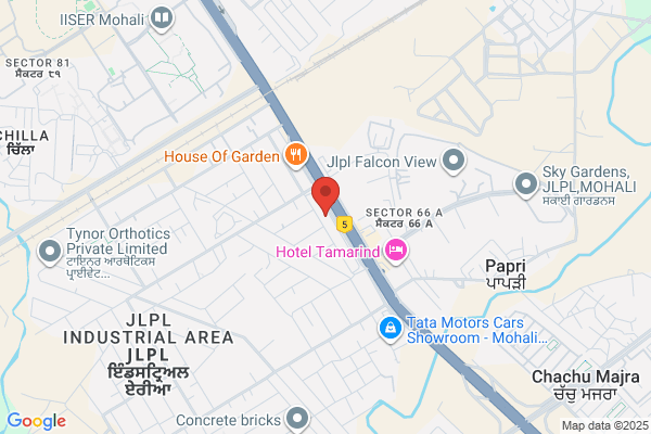 Digital Marketing, Website & Mobile App Development Company in Mohali - Solutions1313