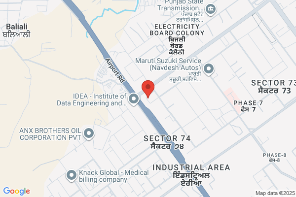 SEO Company in Mohali