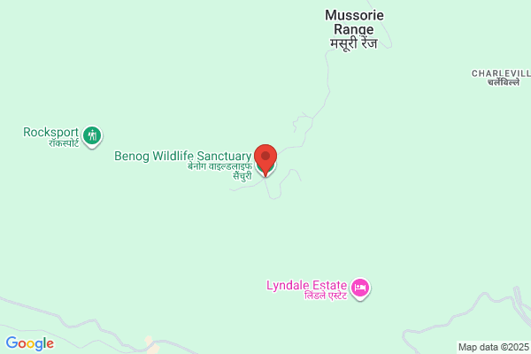 Benog hill wildlife sanctuary trek - trekking & day hike in mussoorie