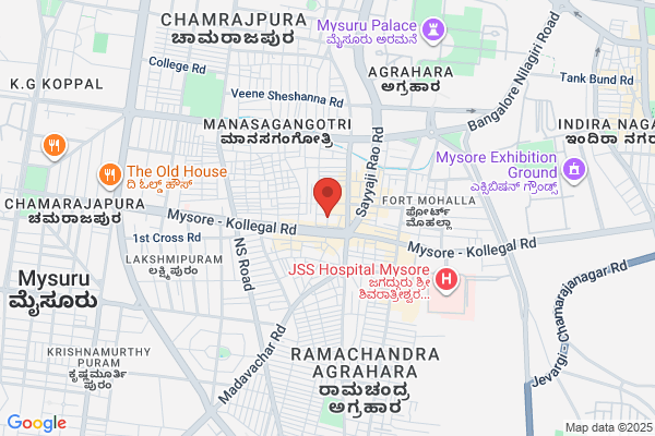 Pruthvi Laboratory Rasayana