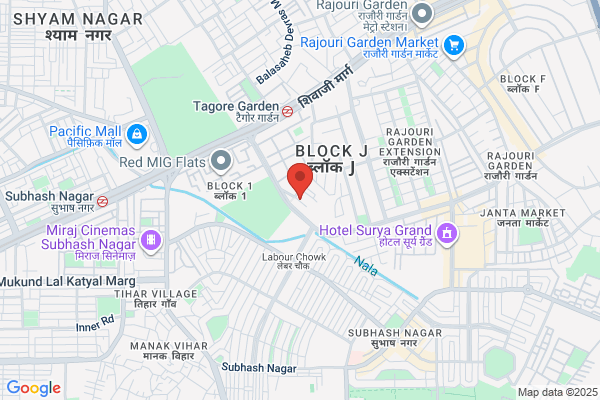 Digital Marketing Agency in Delhi