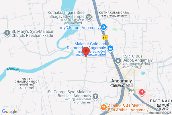 Vaidyavbpardeshibamsmdphd