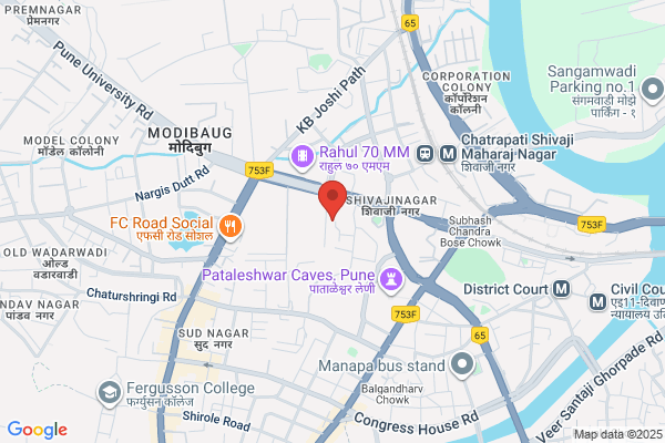 Birdnetpune: Best Bird Netting Services in Pune