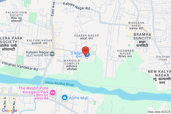Vidushi Infotech S.S.P.P.PVTLtd