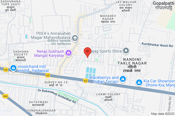 Pune SEO Company