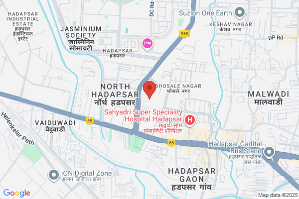 Packers and Movers Hadapsar Pune