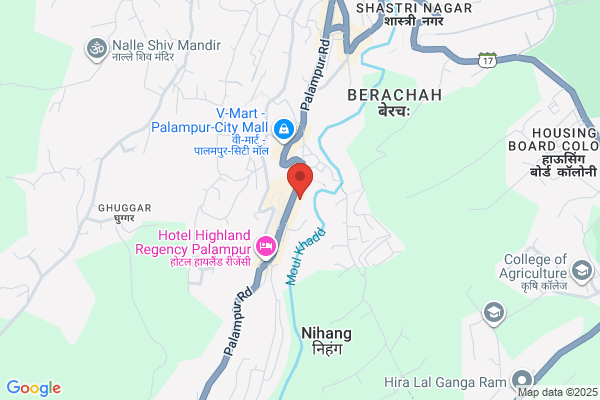 Marriage bureau palampur
