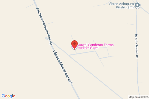 Jawai Sanderao Farms