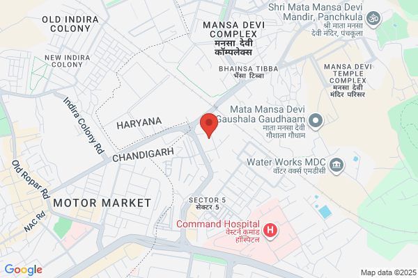 Vision Vivante Pvt Ltd