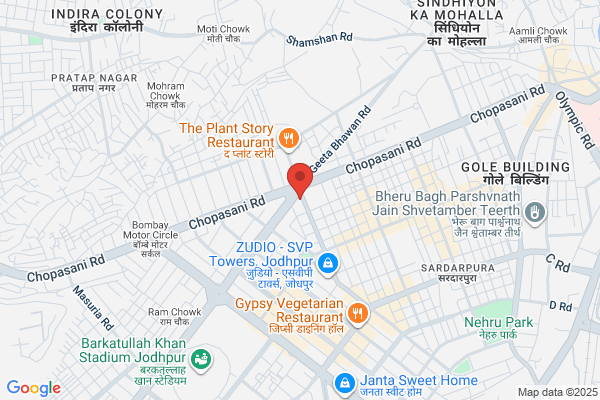 Indian Electric Store