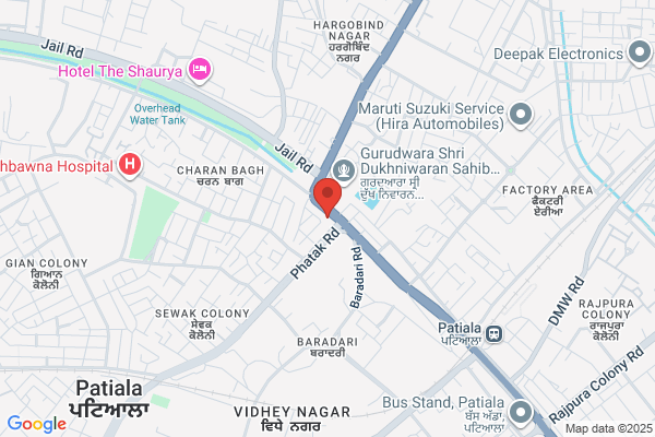 Lis Nanny Institute in Patiala
