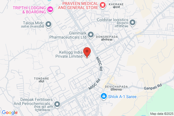 Kellogg India P Ltd