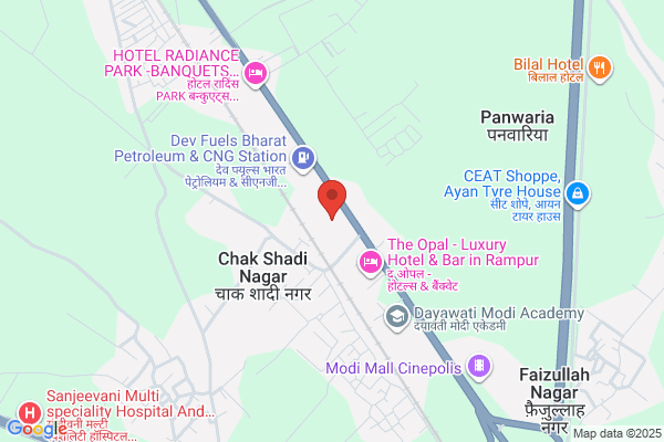 SWATI MENTHOL & ALLIED CHEMICALS (P) LTD.,