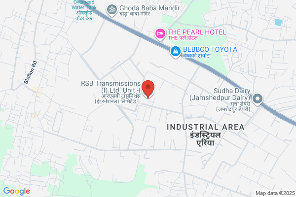 RSB TRANSMISSION INDIA LTD