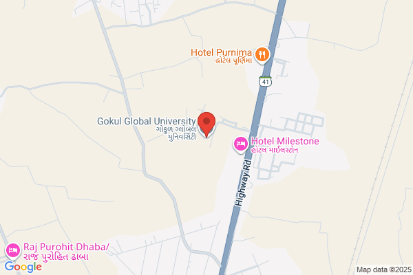 Gokul Global University