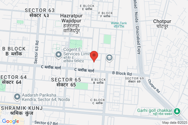 CHINAR International