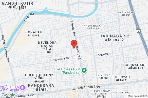 AMBUJA POWER SERVICE