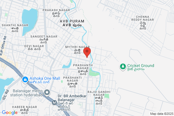 Ace Instruments & Services P Ltd