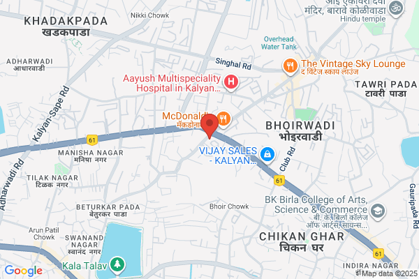 Borg Infotech P Ltd