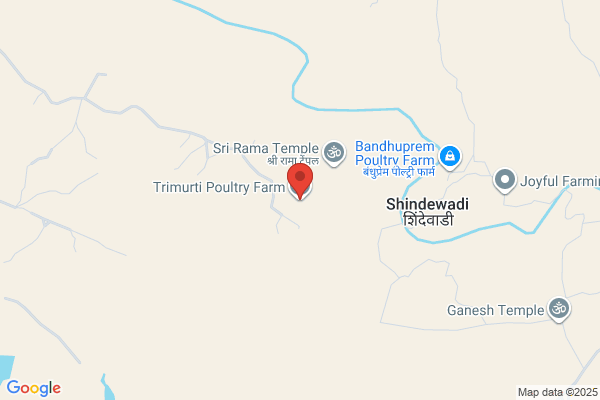 Trimurti Poultry