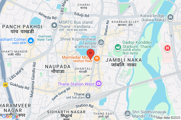 Swaamy Bhavvan Pure Veg Restaurant - Thane