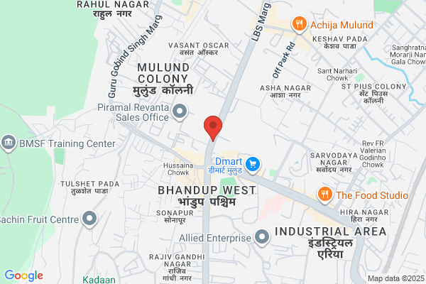 DELUX SPRINGS PVT LTD