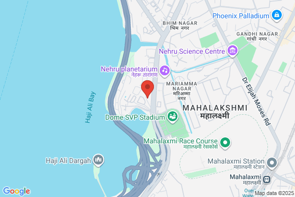 Madhavi Desai Consulting