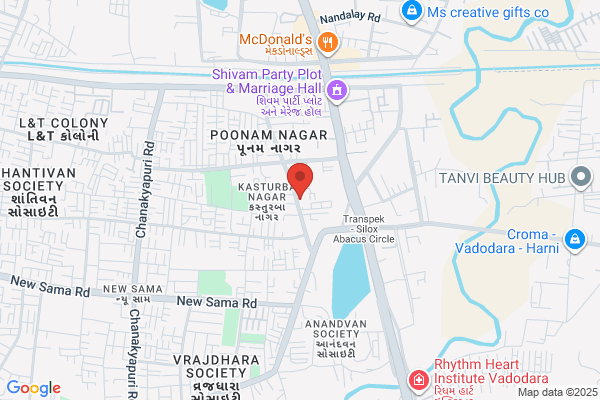 Shri Shankar Vijay Saw Mill