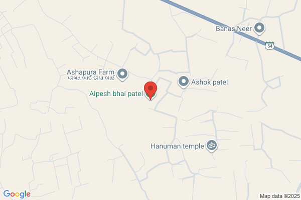 Patel Alpesh Dahyabhai